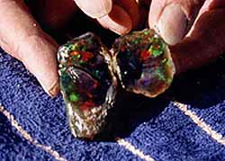 Beautiful Black Opal from Virgin Valley, Nevada